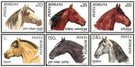 Romania 1970 - cai, serie neuzata