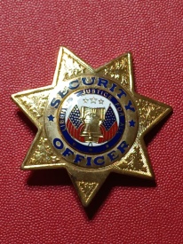 Insigna Security Officer