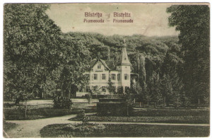 1927 - Bistrita, Promenada (jud. Bistrita-Nasaud)