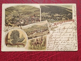 Austria 1897 - Murzzuschlag, vedere