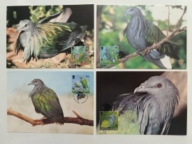 Solomon Islands 1993 - Porumbelul Nicobar, serie CarteMaxima