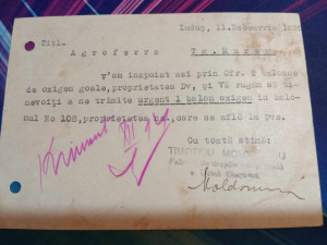 1939 - Ludus, intreg postal - Img 2