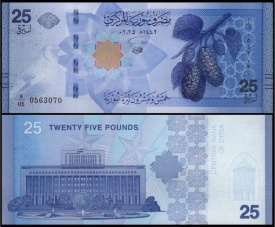 Siria 2025 - 25 pounds, necirculata
