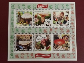 Romania 2008 - ciuperci, bloc neuzat