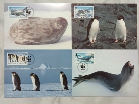 British Antarctica 1992 - fauna arctica, serie CarteMaxima