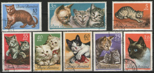 Romania 1965 - pisici, serie stampilata