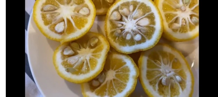 CITRUS YUZU, lamai rezistent la inghet - Img 6