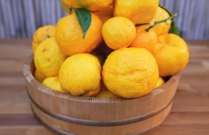 CITRUS YUZU, lamai rezistent la inghet - Img 3