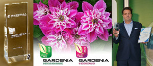 Clematis My Darling - Img 2