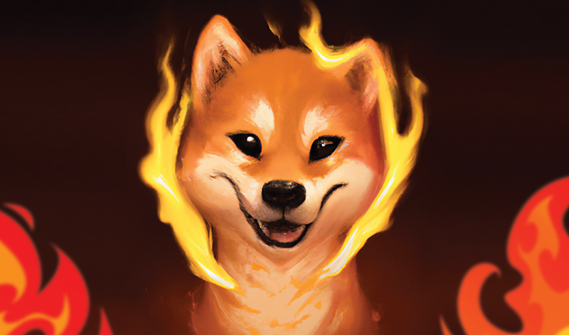 Colectia QSanity Burning