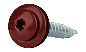Set 250 Suruburi autoforante TORX pentru tabla 4,8x35 mm, RAL