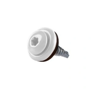 Set 250 Suruburi autoforante TORX pentru tabla 4,8x20 mm, RAL