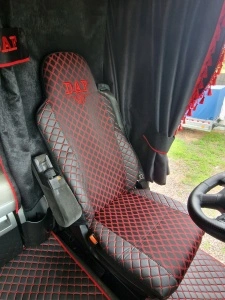 HUSE SCAUNE DAF EURO 5 - Img 2