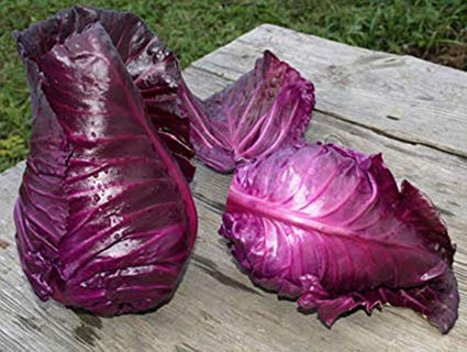 Varza rosie Red Kalibos 