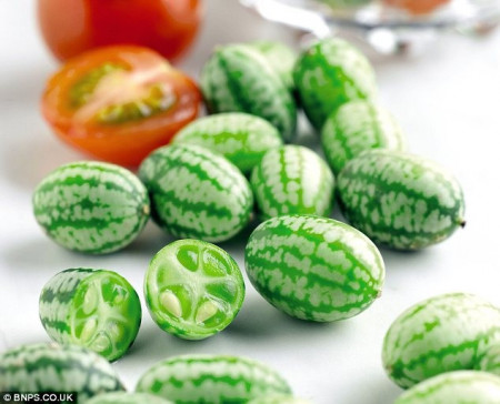 Cucamelon-Scabra Melothria