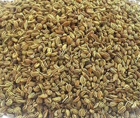 Anason-Pimpinella anisum - Img 2