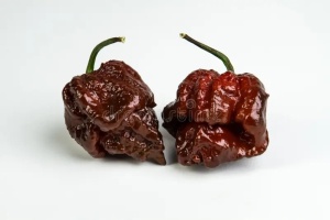 Ardei iute Trinidad Scorpion Moruga Chocolate