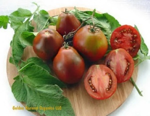 Tomate Black Truffle