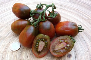 Tomate cherry Black Plume 