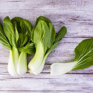 Varza chinezeasca Pak Choi Canton Dwarf - Img 5