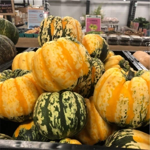 Dovleac decorativ Carnival Squash - Img 3