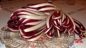 Radicchio rosie Di Treviso - Img 2
