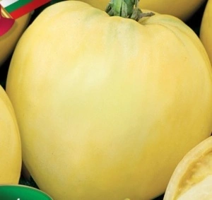 Tomate Inima de Bou Byalo Sartse