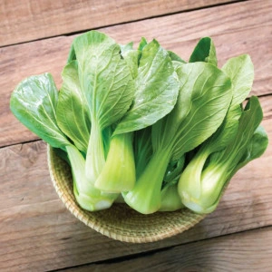 Varza Pak Choi