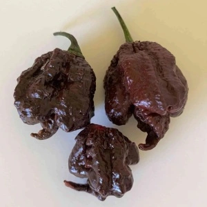 Ardei iute Carolina Reaper Chocolate - Img 2