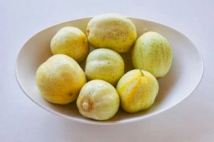 Castravete Lemon - Img 4