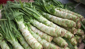 Celtuce-Lactuca sativa var.Augustana - Img 5