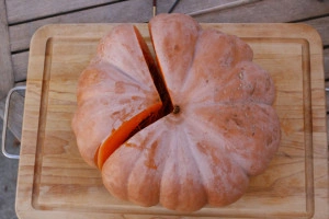 Dovleac Musquee de Provence - Img 3