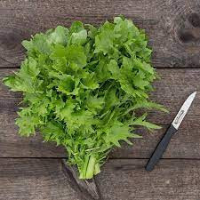 Mustar oriental Wasabi-na