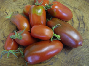 Tomate Black Icicle