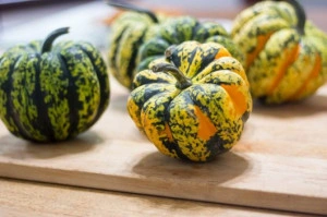 Dovleac decorativ Carnival Squash - Img 5