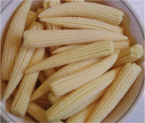 Porumb Baby Corn - Img 3