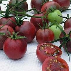 Tomate cherry negre
