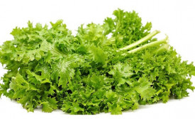 Mustar oriental Wasabi-na