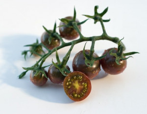 Tomate cherry negre