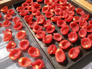 Tomate cherry Principe Borghese 