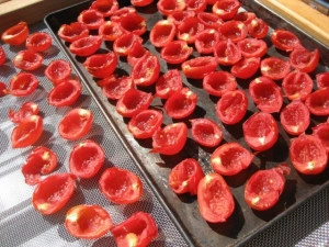 Tomate cherry Principe Borghese  - Img 2