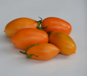Tomate Orange Icicle