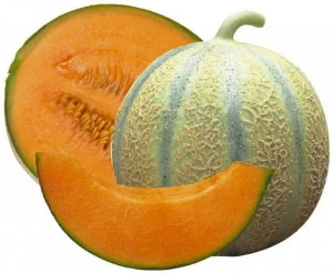 Pepene galben Cantalupo di Charentais - Img 3