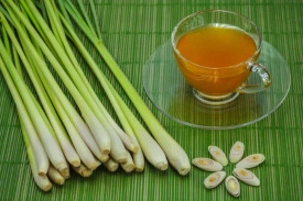 Lemongrass-Iarba lamaioasa - Img 3