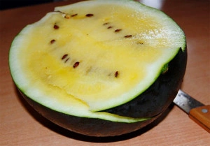 Pepene verde cu miez galben Janosek - Img 2