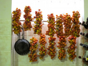 Tomate cherry Principe Borghese 