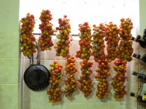 Tomate cherry Principe Borghese  - Img 4