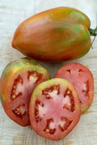 Tomate Speckled Roman - Img 3