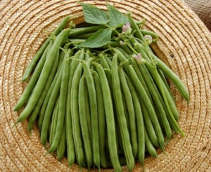 Fasole pitica fideluta verde