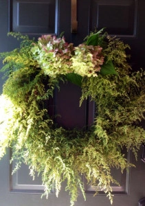 Pelinita-Artemisia Annua - Img 2